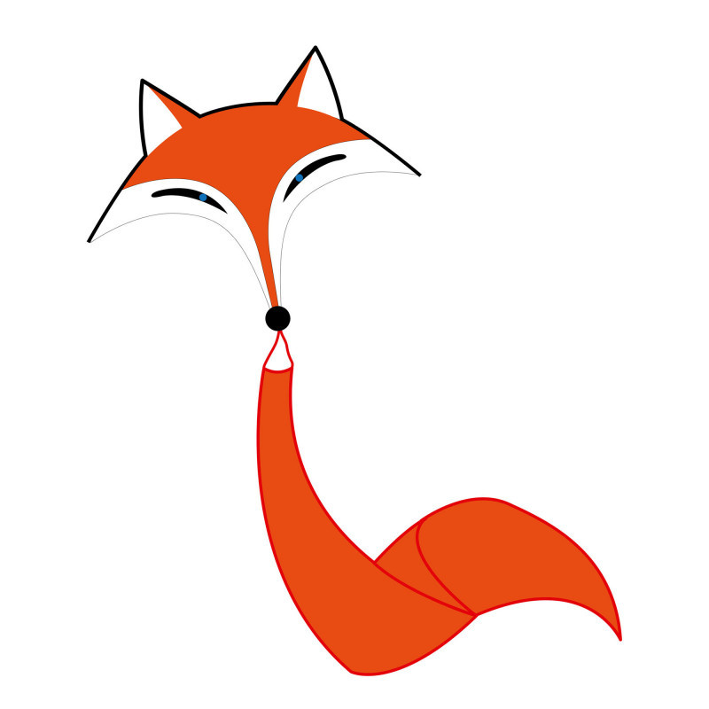 Cerf volant Fox Kite - Ecoline