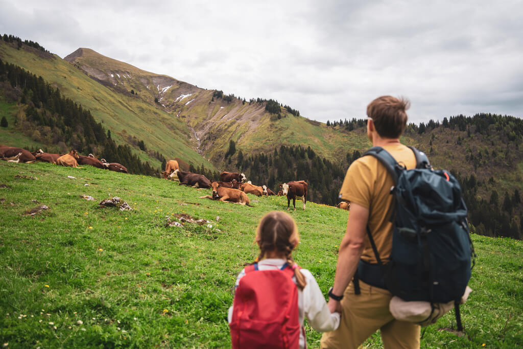 les vaches en rando famille