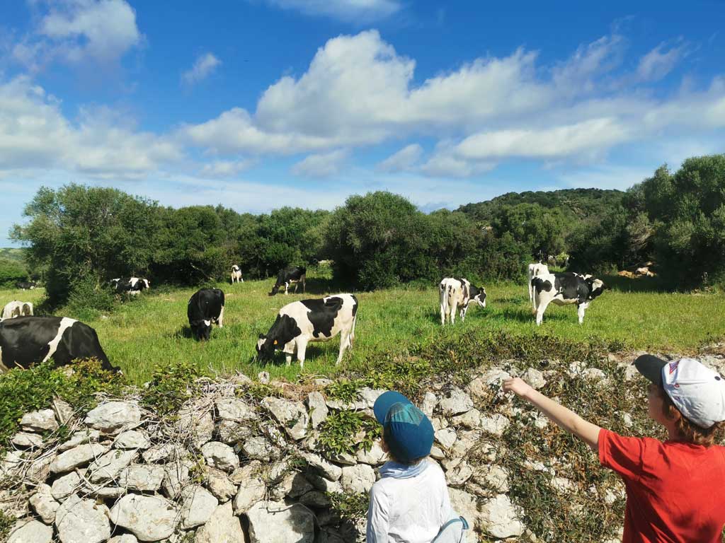 Découvrir Minorque en famille - Cami Reial