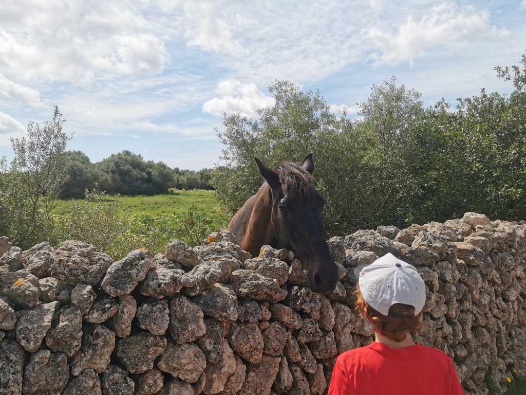 Découvrir Minorque en famille - Cami Reial