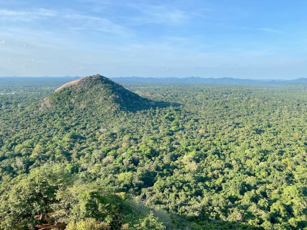 La vue depuis le rocher du Lion