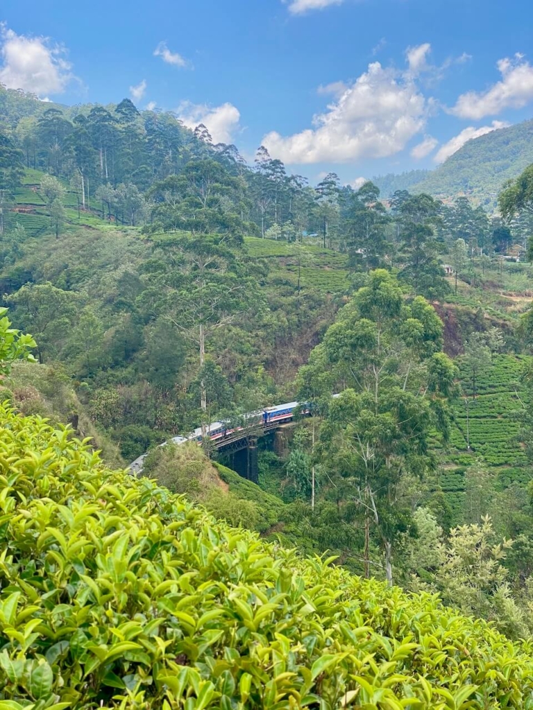 Train au Sri Lanka