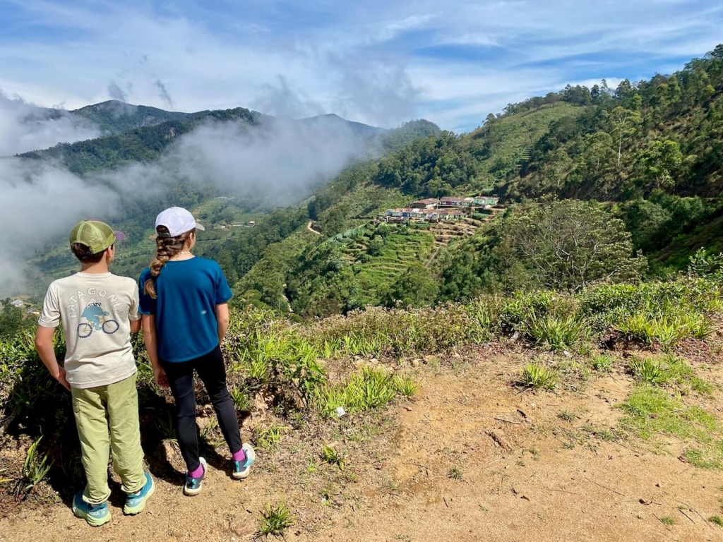 Randonnée dans les montagnes à thé du Sri Lanka