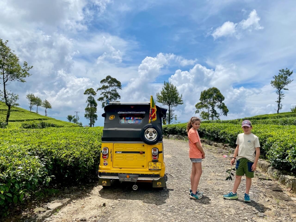 Tuk Tuk Safari