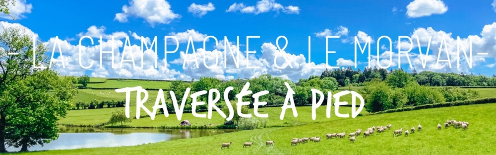 La traversée de la Champagne et du Morvan à pied, Homère continue son épopée !